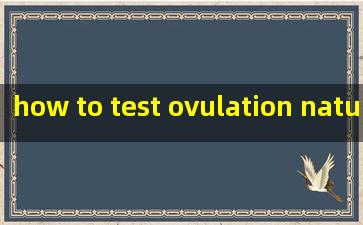  how to test ovulation naturally at home